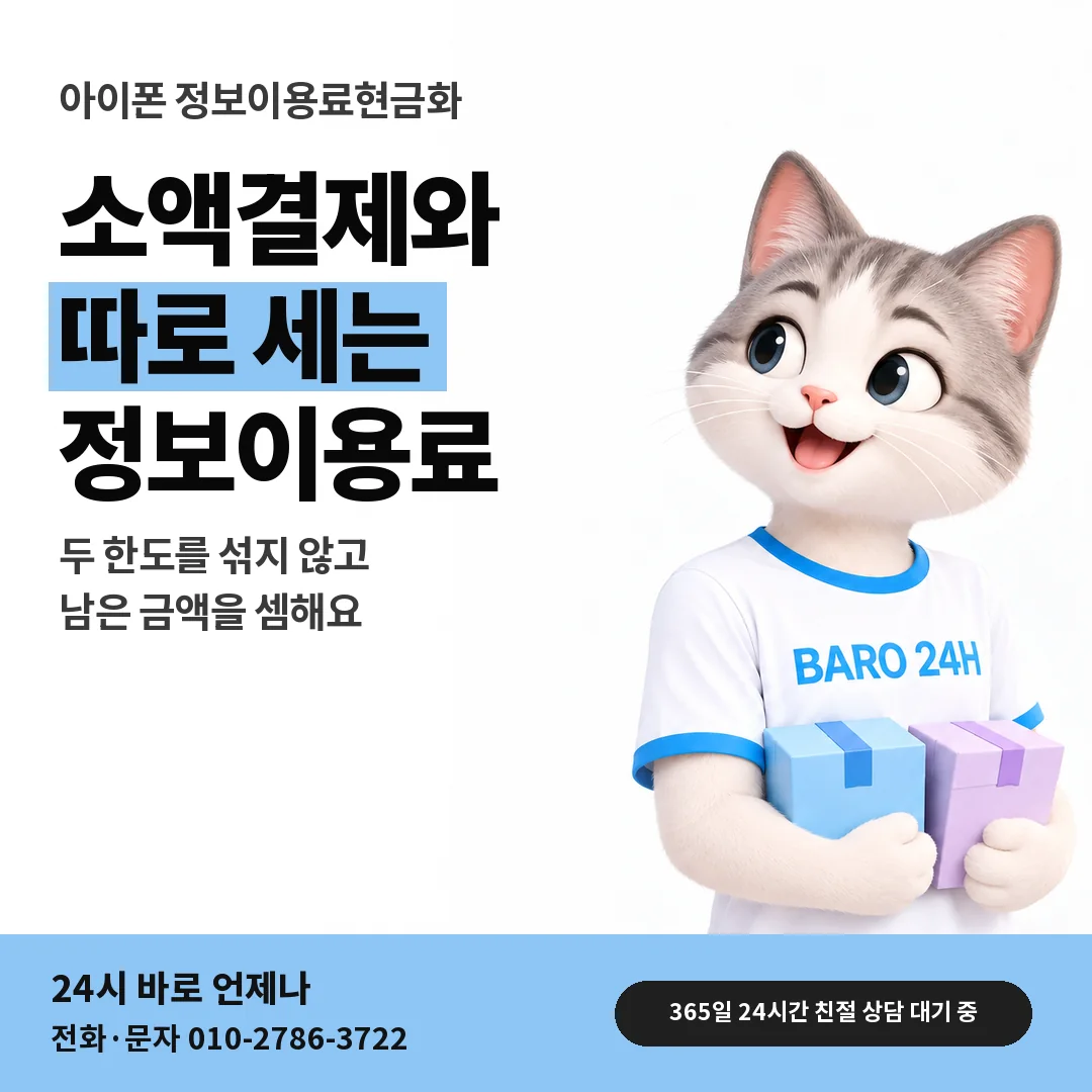 BARO 24H 티셔츠를 입은 3D 동물 캐릭터 옆에 「아이폰 소액결제와 별개 한도」 제목을 얹은 안내 카드